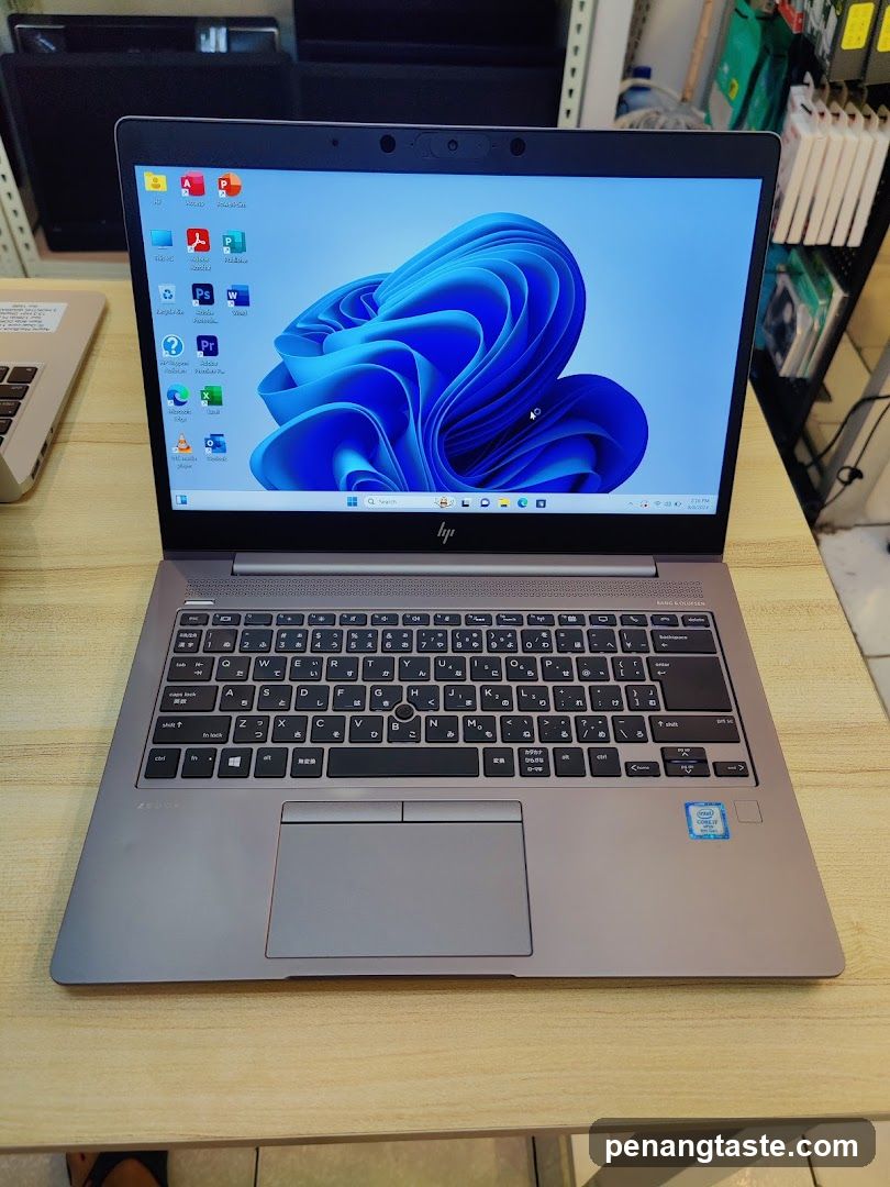 HP Laptop Display