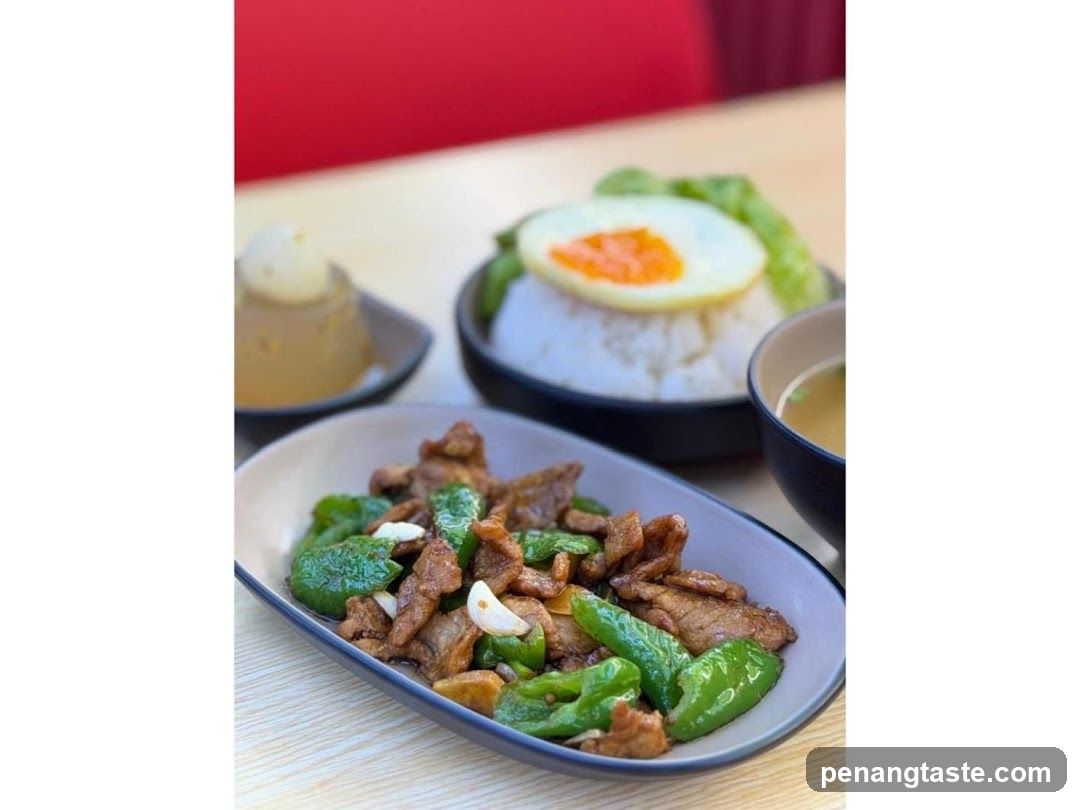 Food Dish with Rice and Egg
