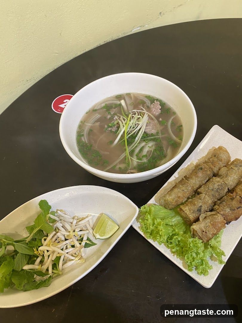 Vietnamese Pho and Spring Rolls Meal