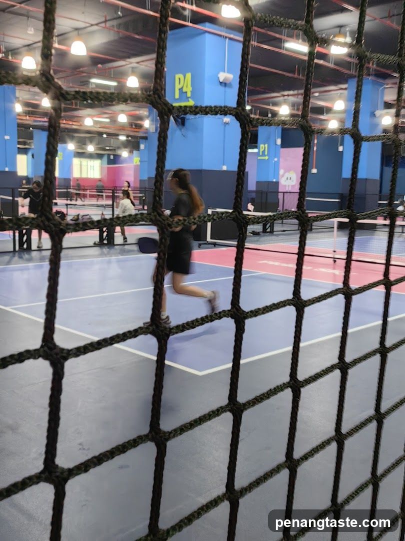Indoor Sports Court View Through Netting