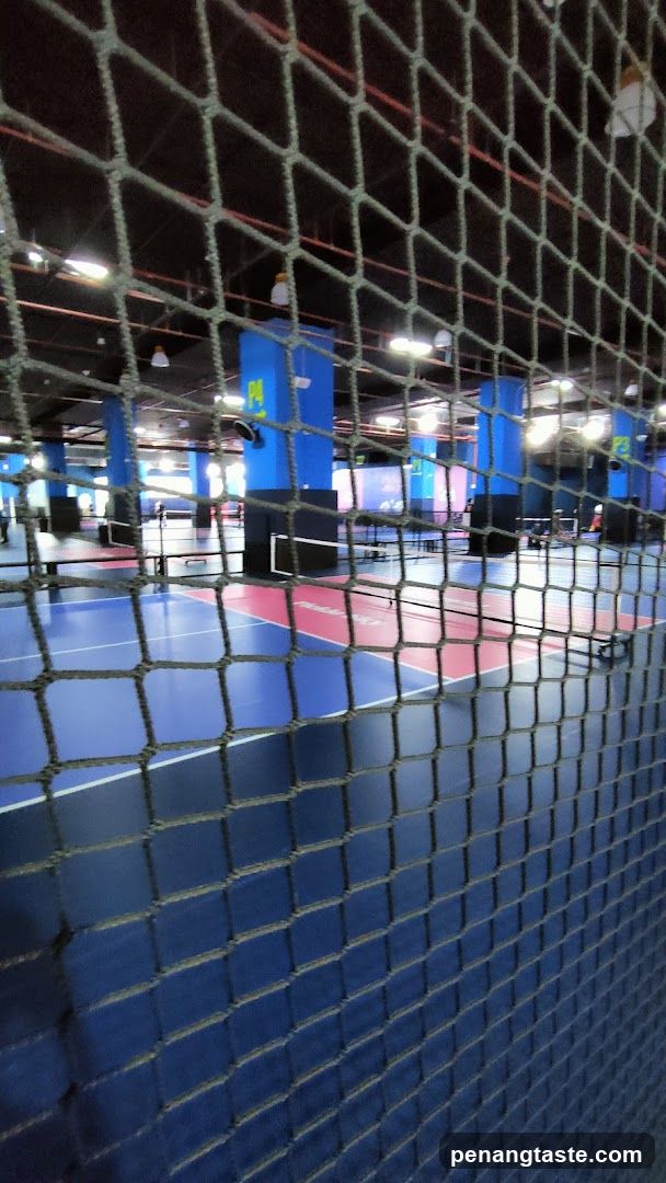 Indoor Sports Court View Through Netting