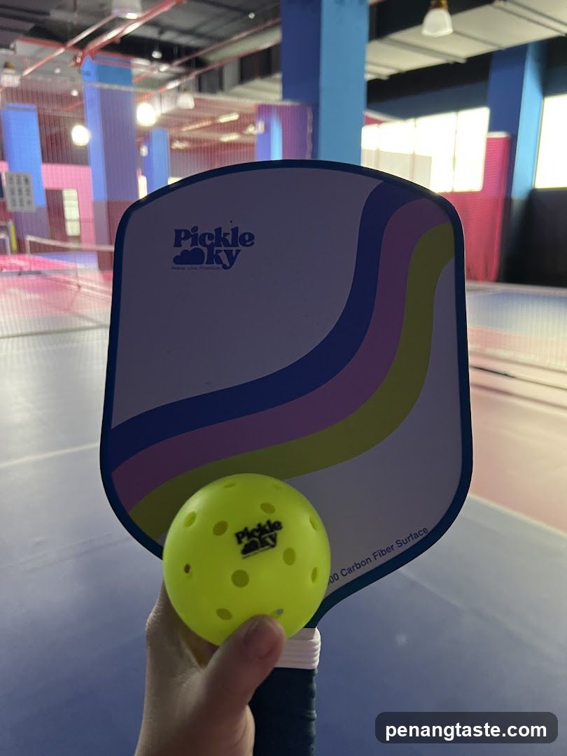 Pickleball Paddle and Ball
