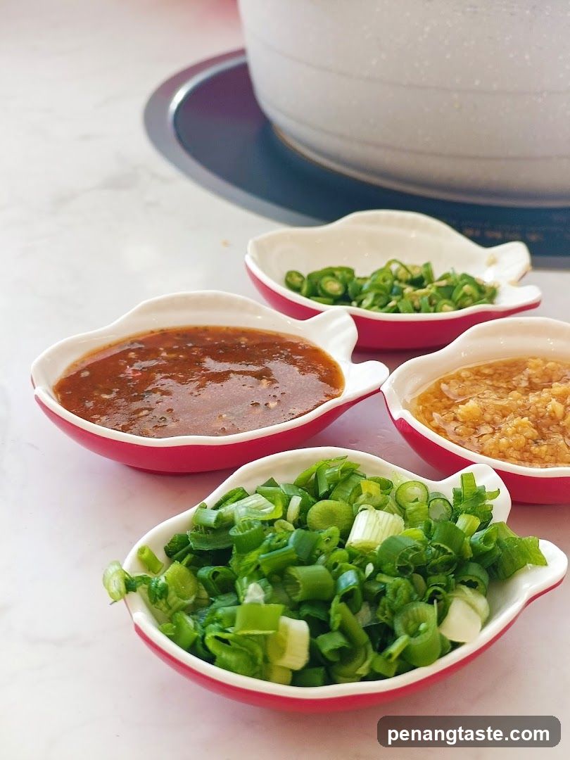 Dipping Sauces and Garnishes