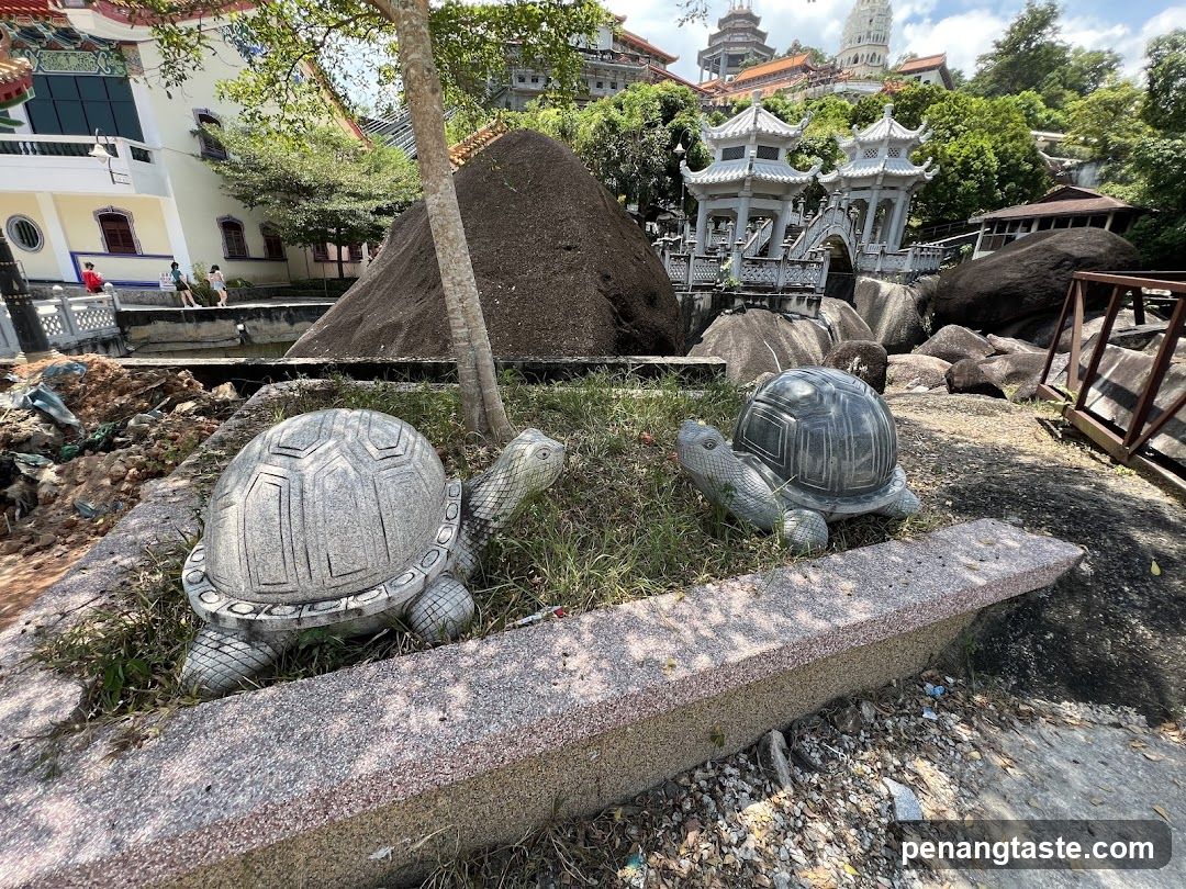 Stone Turtle Statues in a Garden Setting