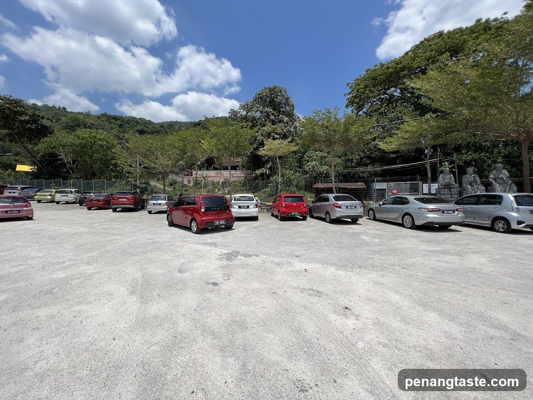 Parking Lot with Cars and Trees