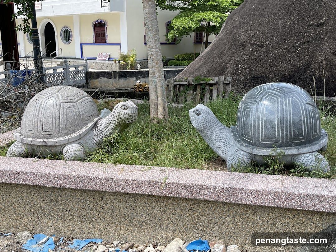 Stone Turtle Statues in a Garden