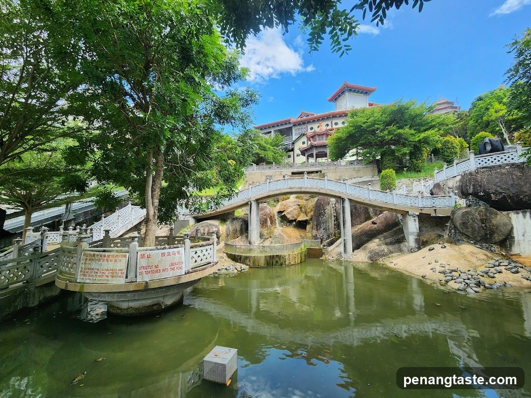 Temple Garden Scene with Bridge and Water Feature
