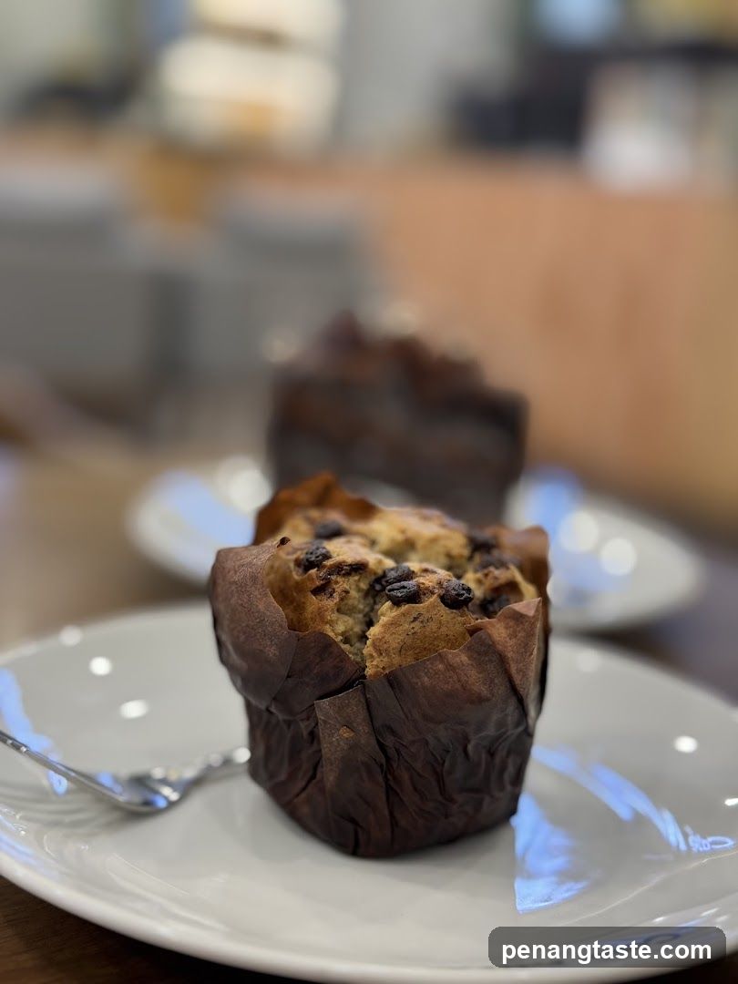 Chocolate Chip Muffin