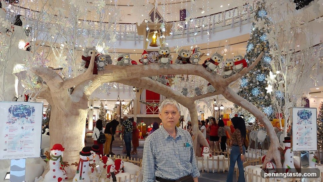 Christmas Tree Display in Mall