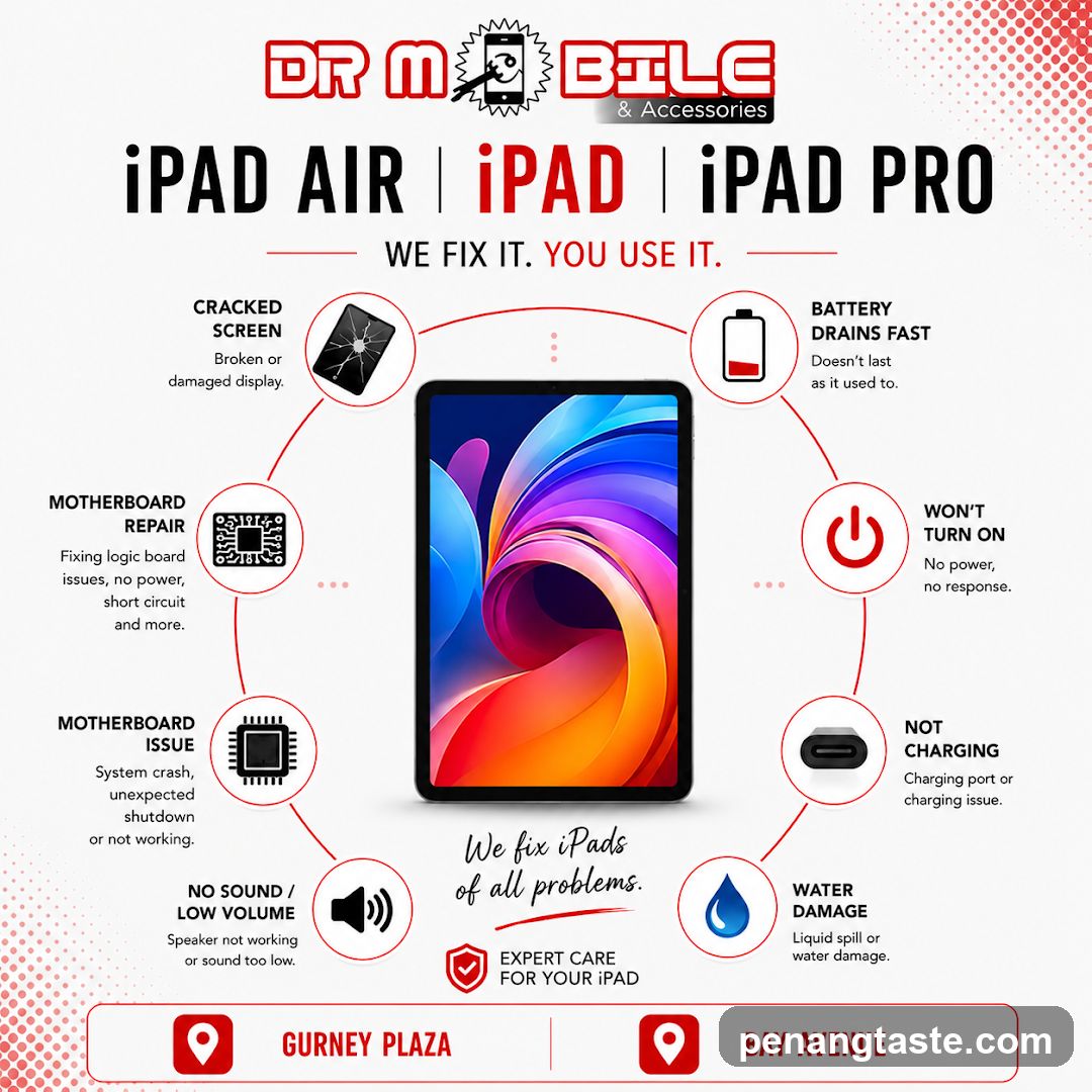 iPad Repair Infographic