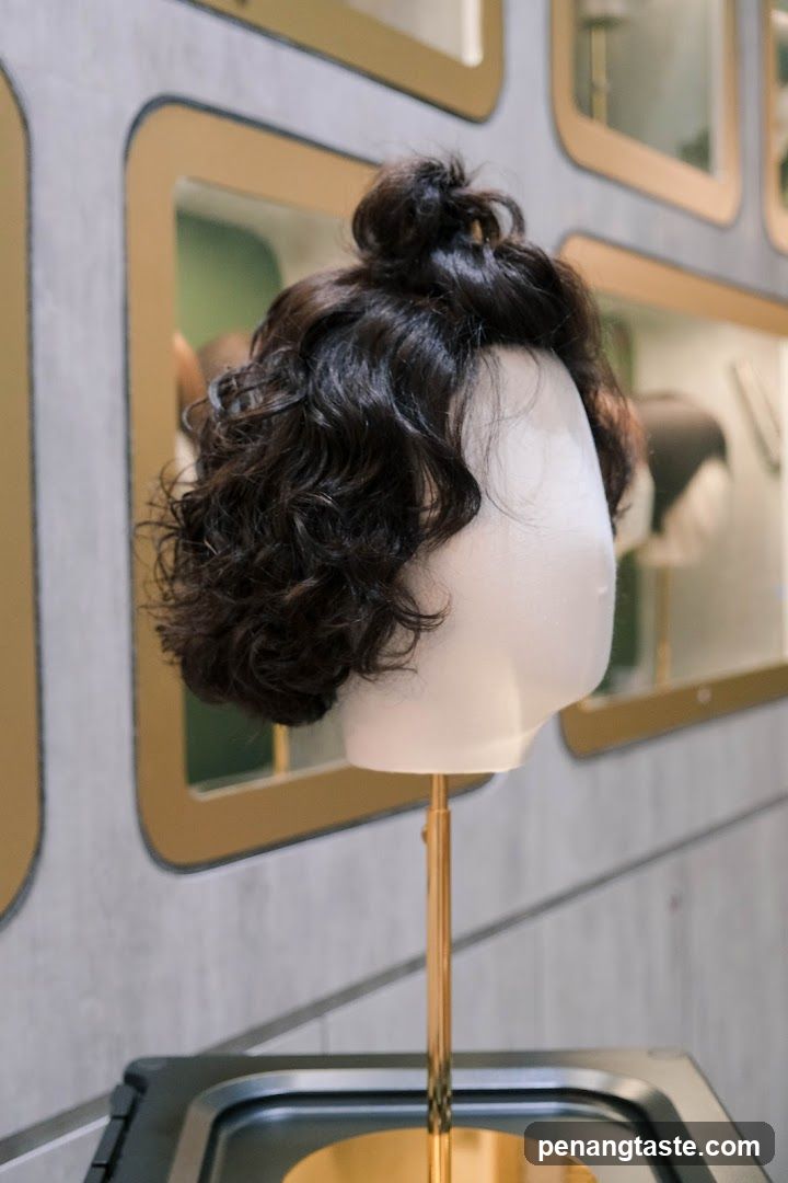 Wig Display
