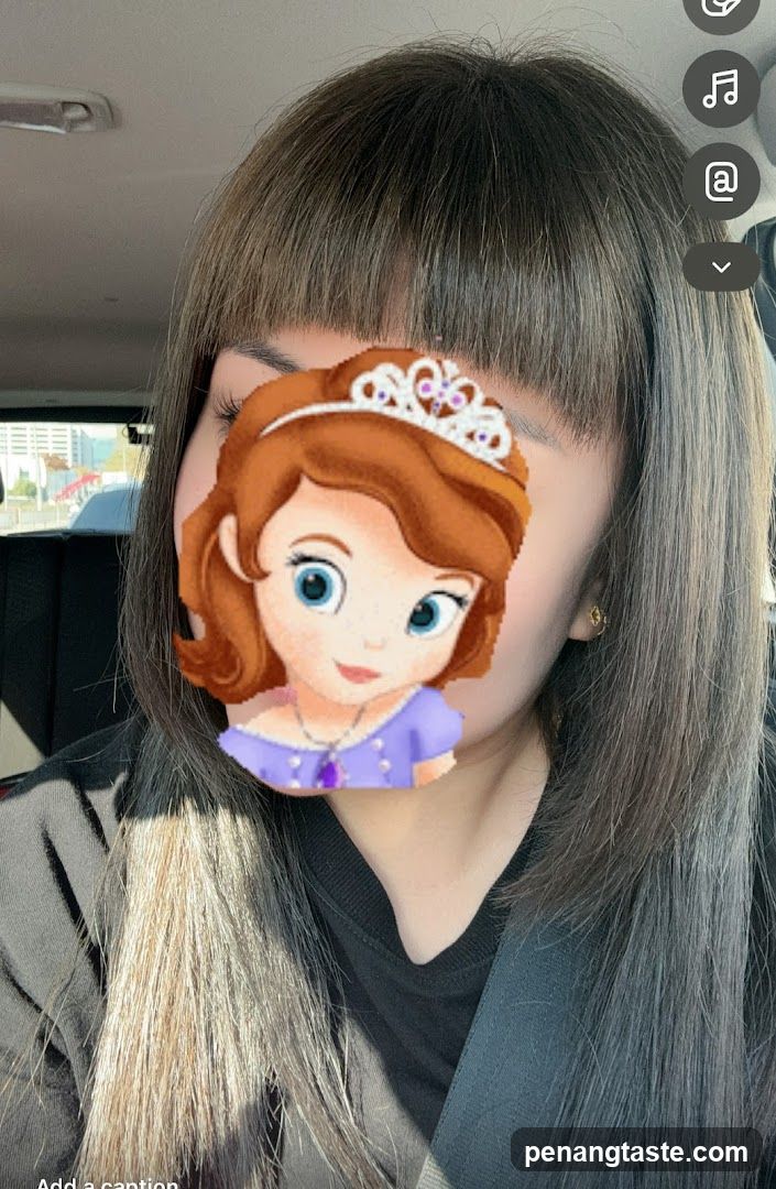 Sofia the First Filter Selfie