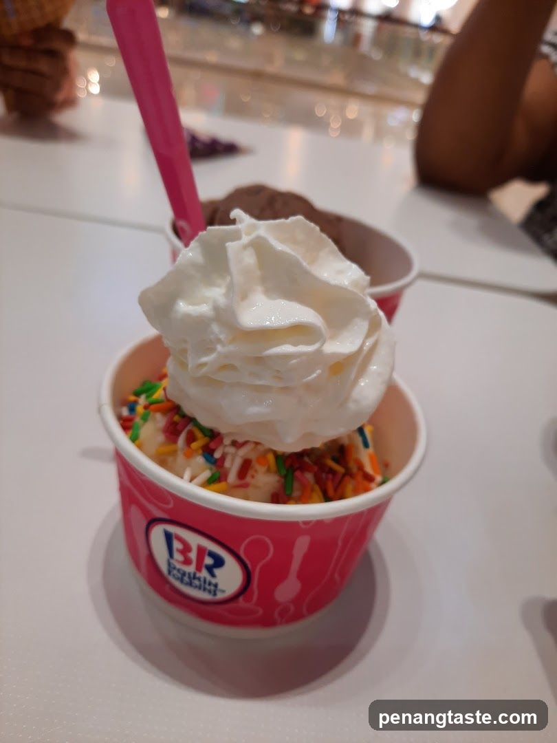 Baskin Robbins Ice Cream Cup