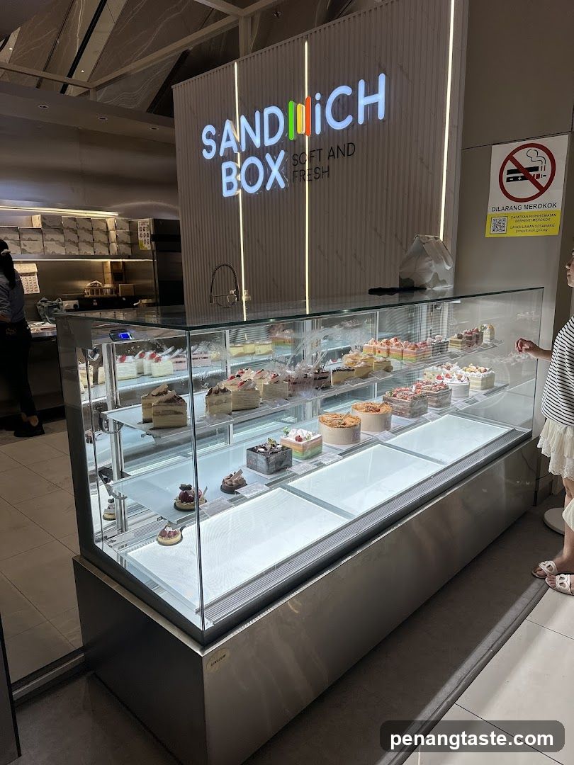 Sandwich Box Display Case