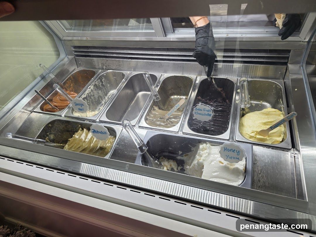 Gelato Display Case
