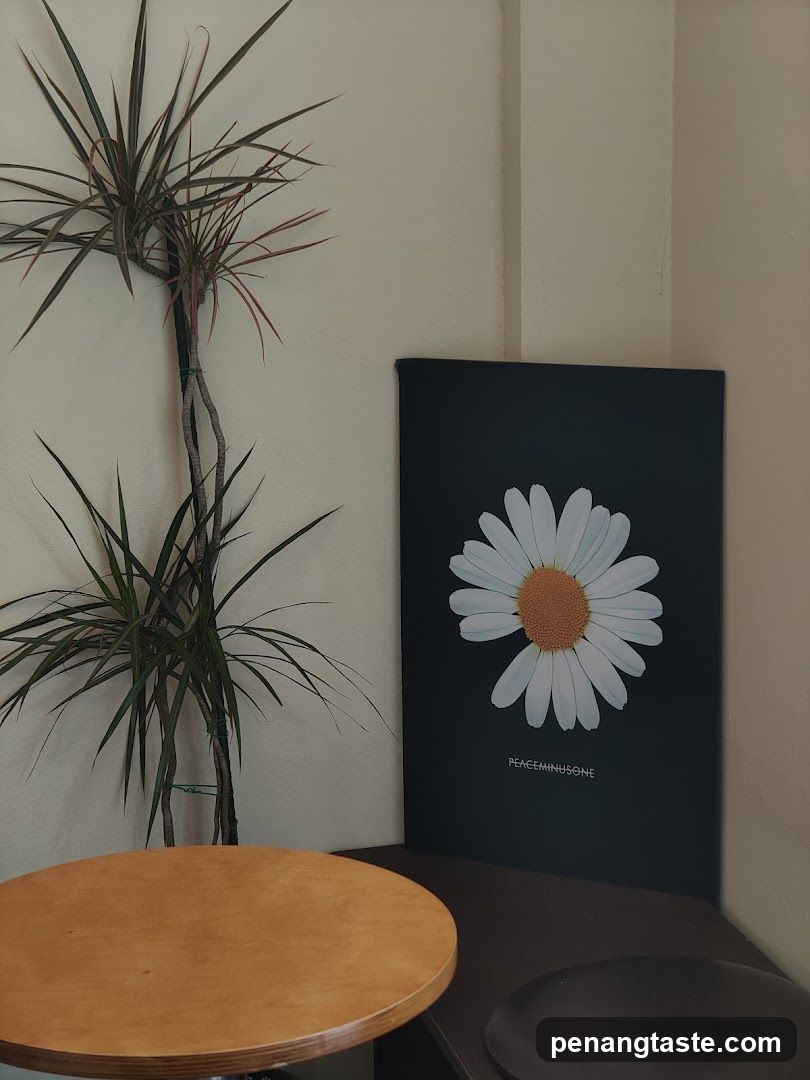 Daisy Poster and Plant