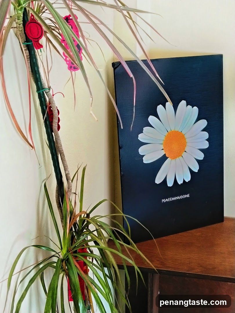 Daisy Poster and Plant