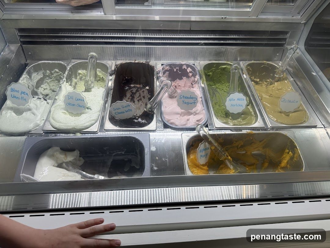 Gelato Display Case