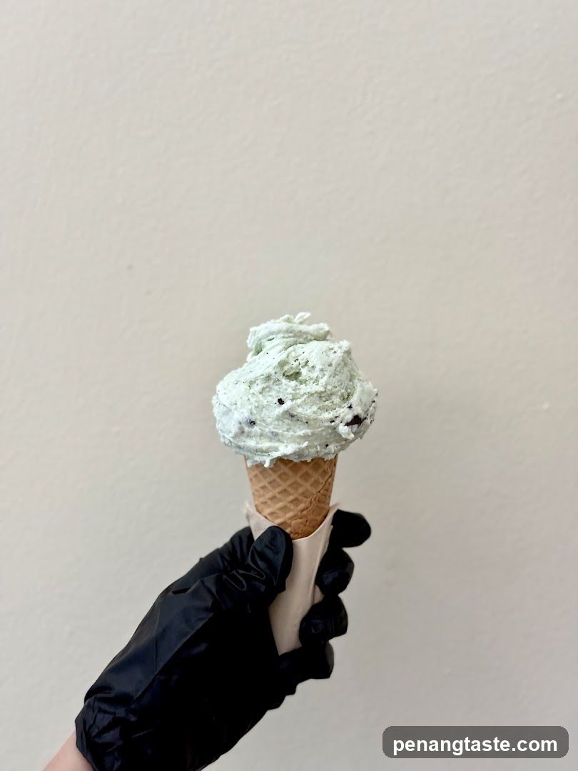 Mint Chip Ice Cream Cone
