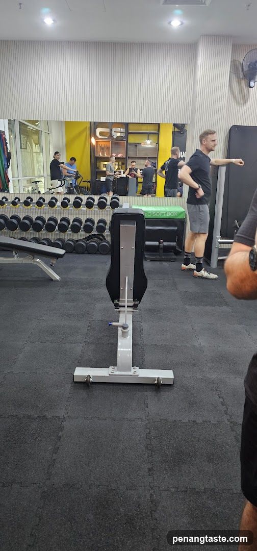 Gym Interior with Equipment and Members