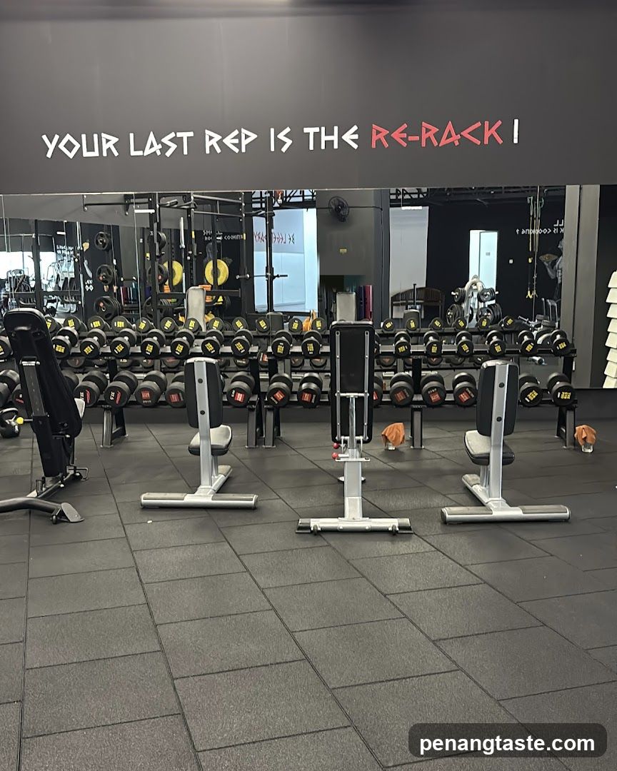 Gym Interior with Dumbbells and Equipment