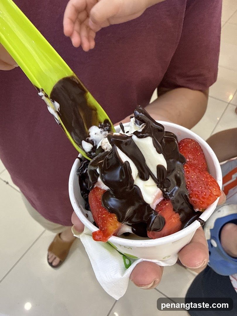 Strawberry Ice Cream with Chocolate Drizzle