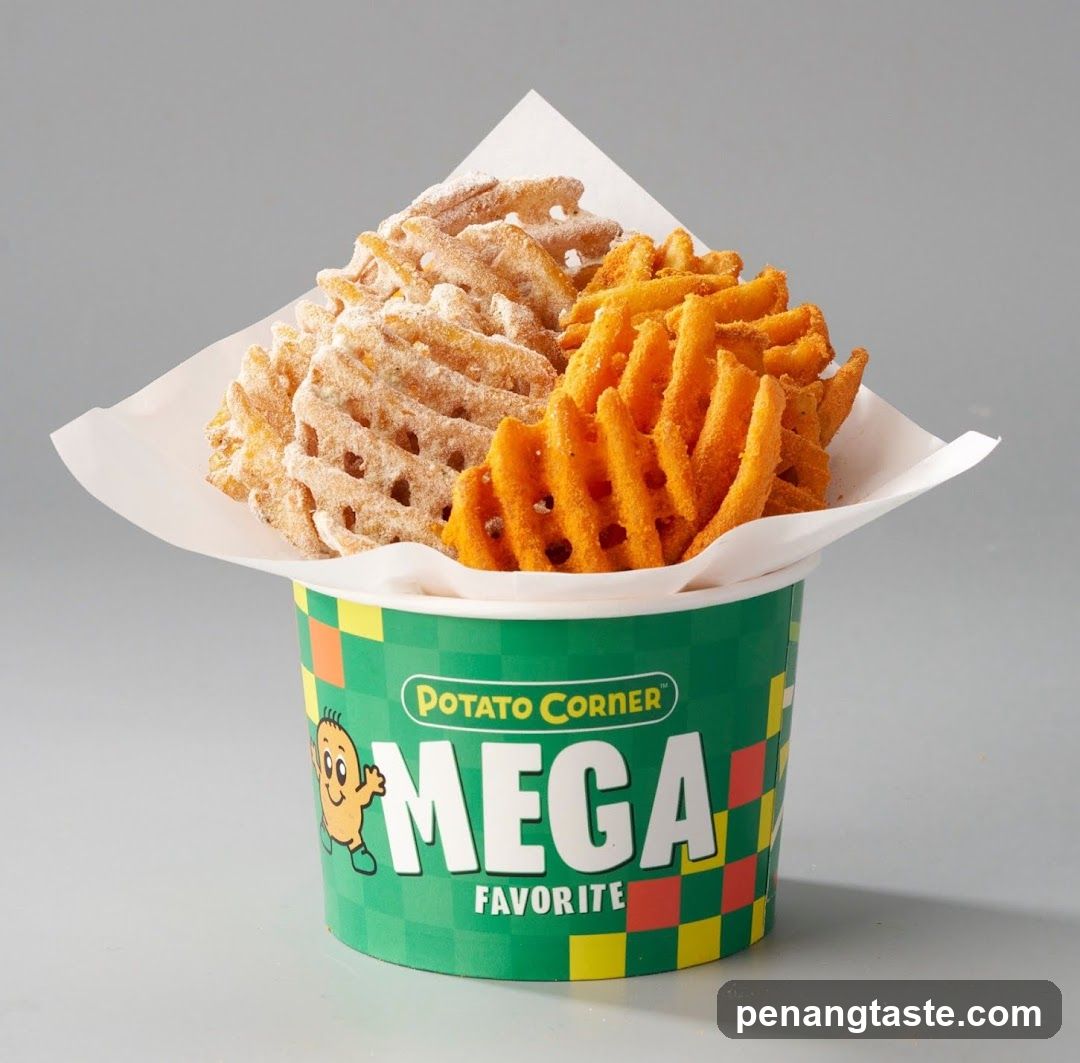 Potato Corner Mega Favorite