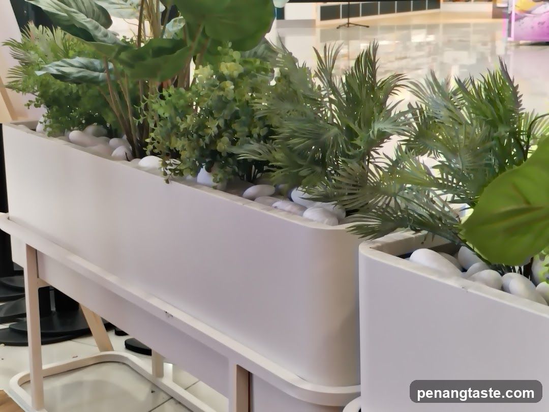 Indoor Plant Display