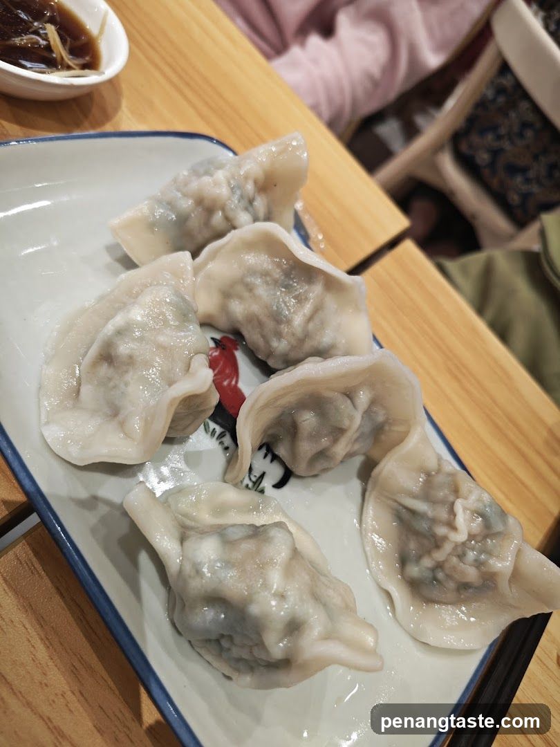 Dumplings on a Plate