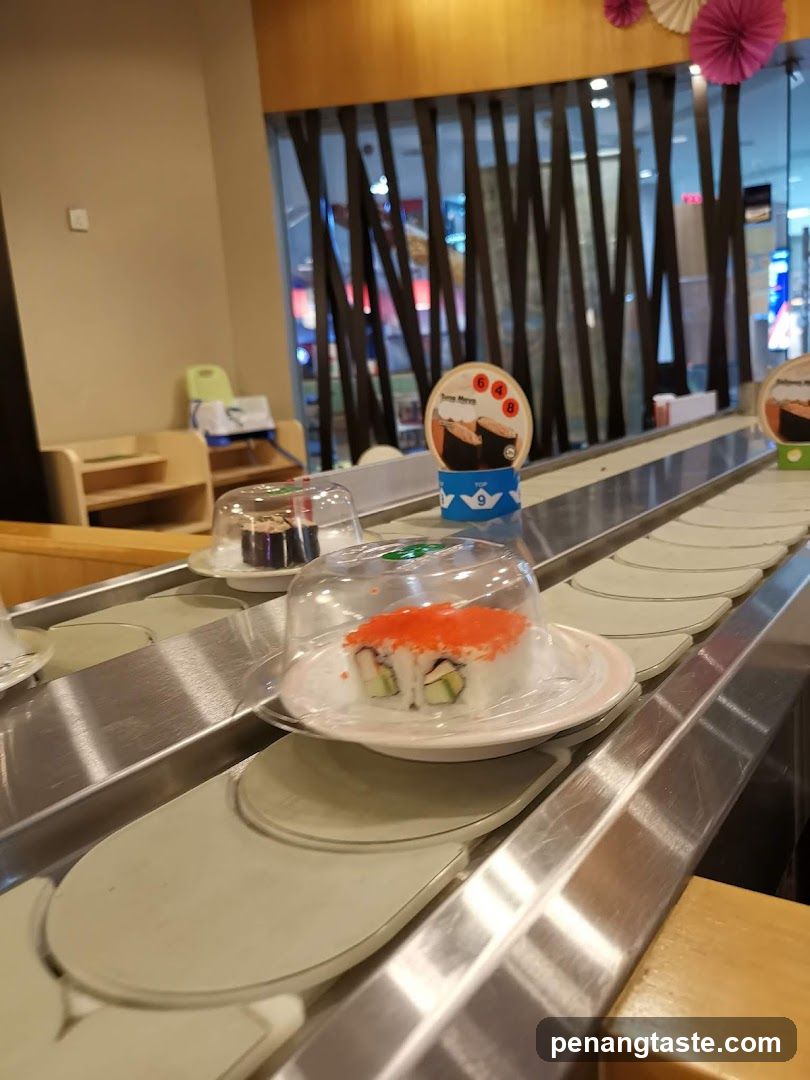 Sushi Conveyor Belt