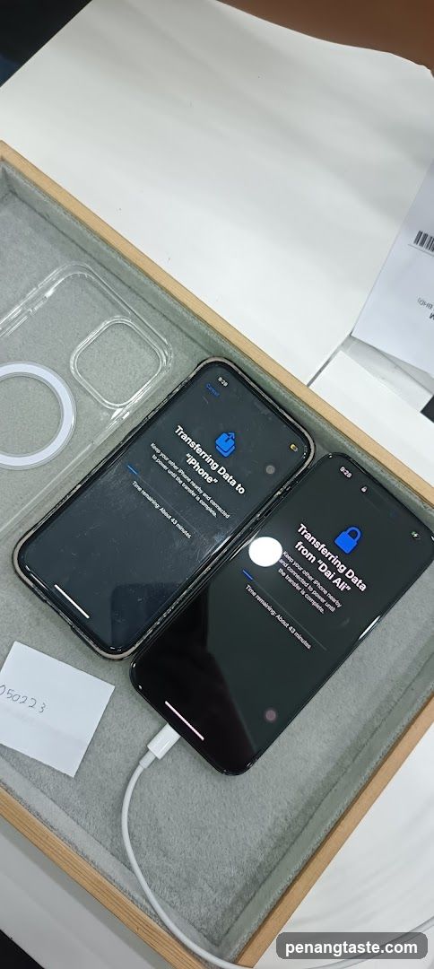 iPhone Data Transfer Setup