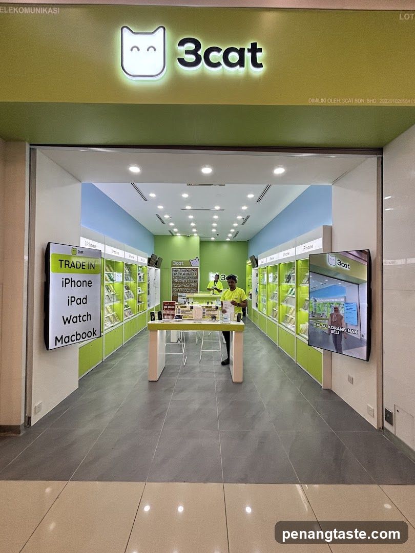 3cat Store Interior View