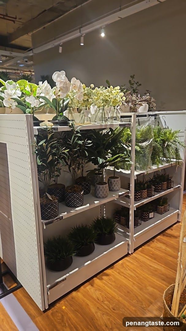 Indoor Plant Display