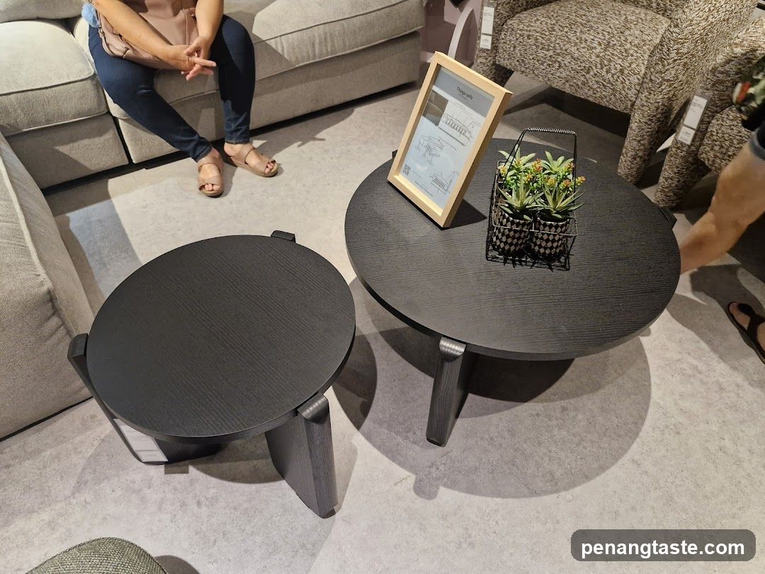 Living Room Furniture Display