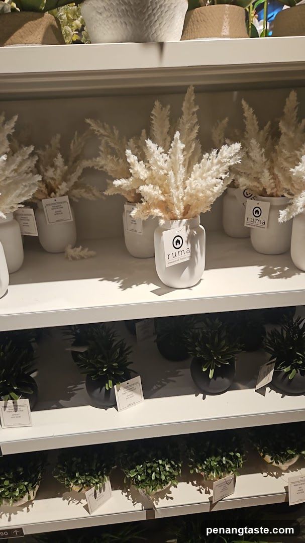 Ruma Home Decor Display