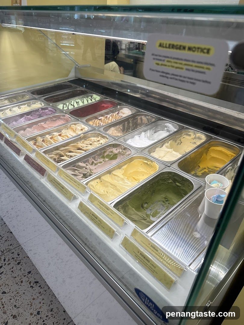 Gelato Display Case