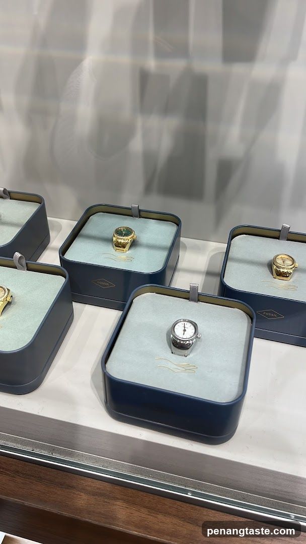 Watch Display Case
