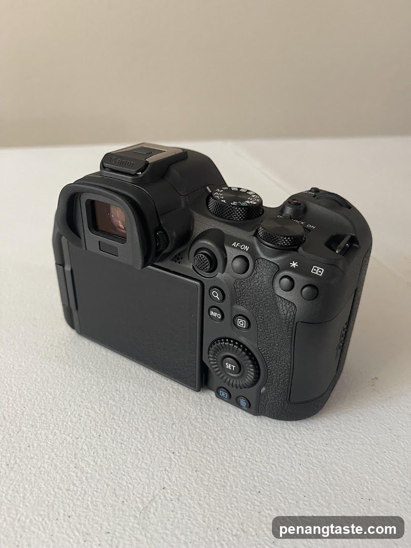 Camera Back View