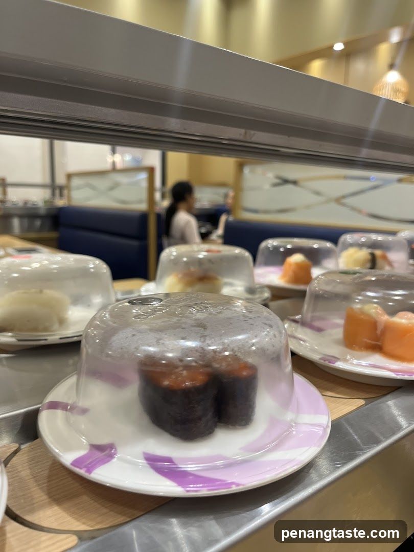 Sushi Conveyor Belt