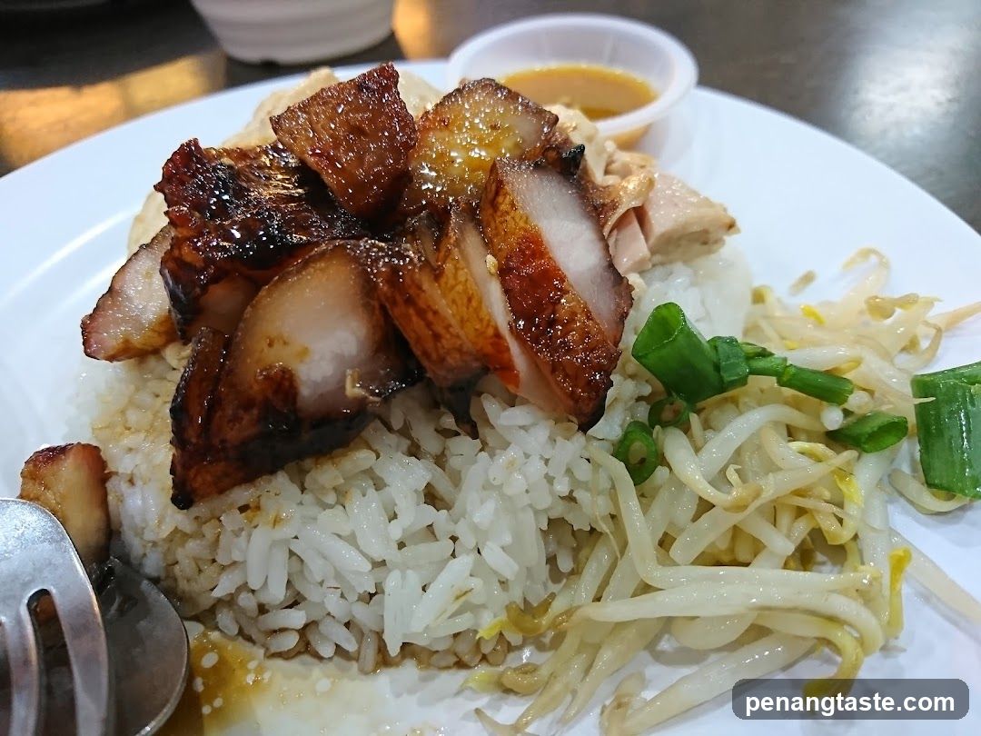 Roast Pork Rice with Bean Sprouts