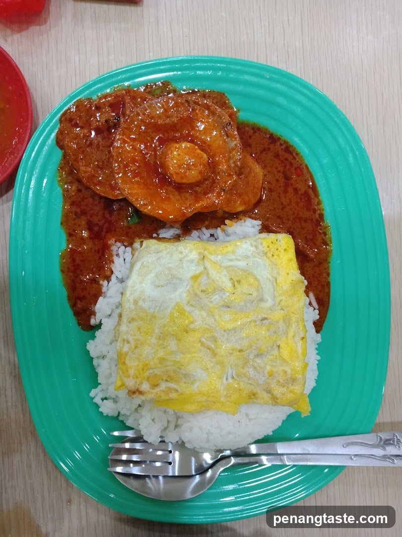 Curry Rice with Egg and Meat