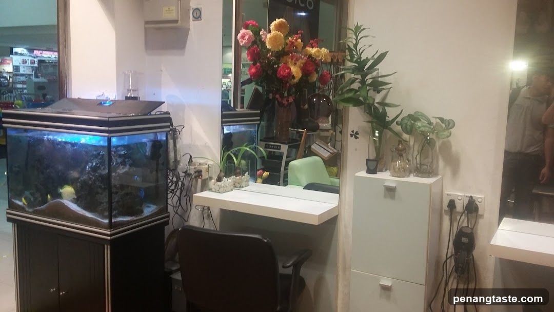 Interior of a shop with aquarium and plants