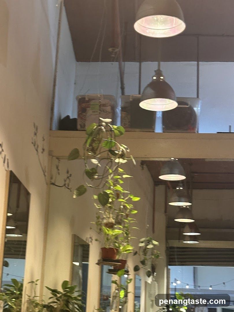 Interior with hanging plants and lights