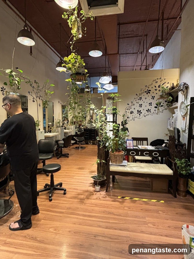 Interior of a plant-filled salon or barbershop