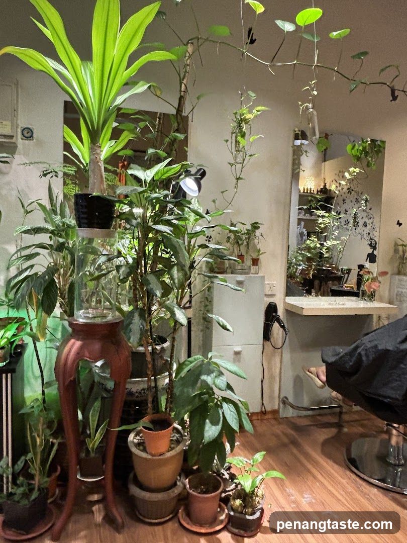 Indoor Plant Decorated Salon or Shop Interior