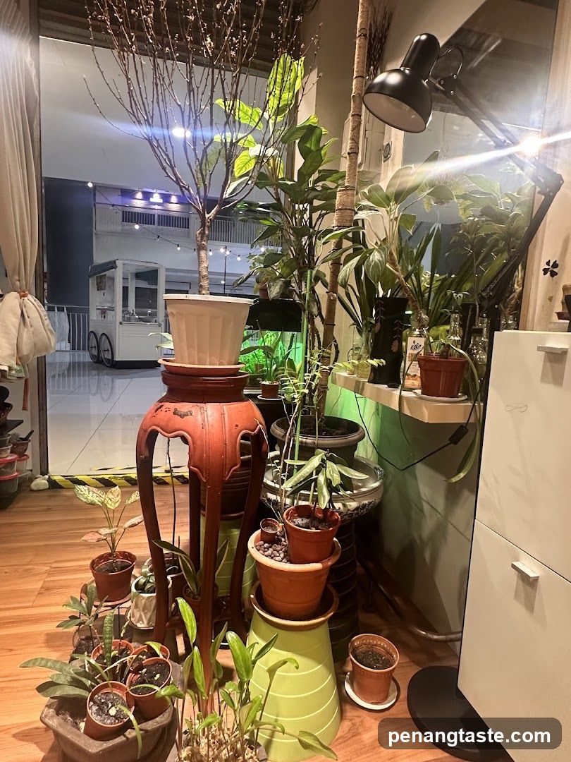 Indoor Plant Corner with Outdoor View