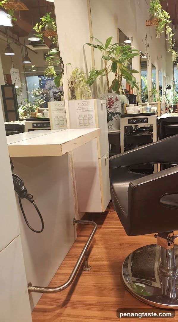 Hair Salon Interior