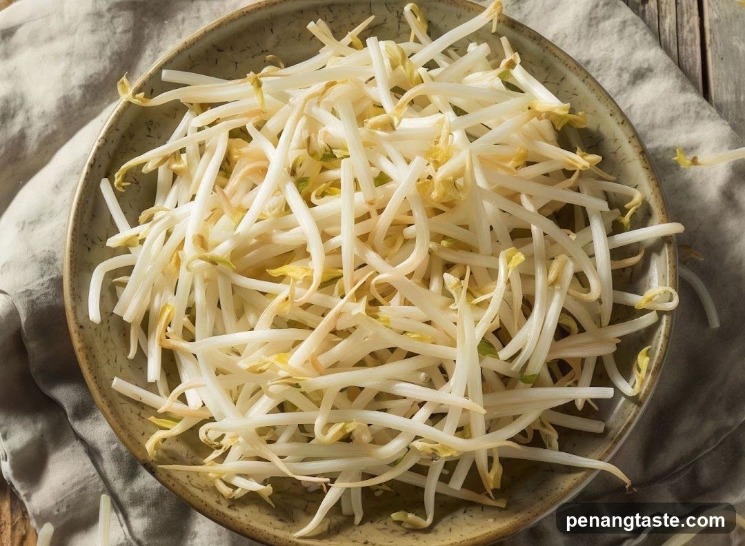 Bean Sprouts in a Bowl