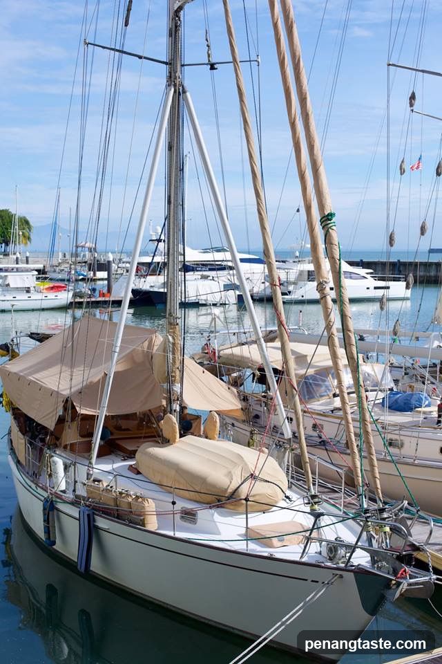 Sailboats in a Marina