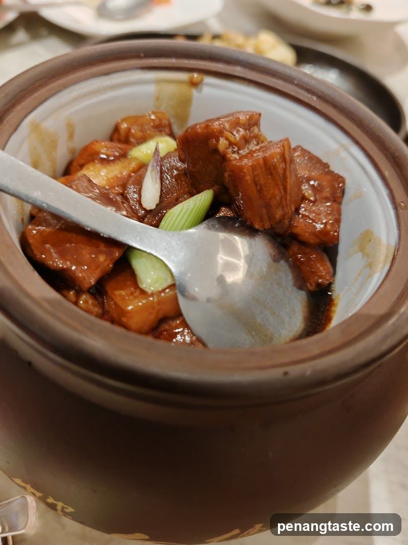 Stewed Meat in Clay Pot